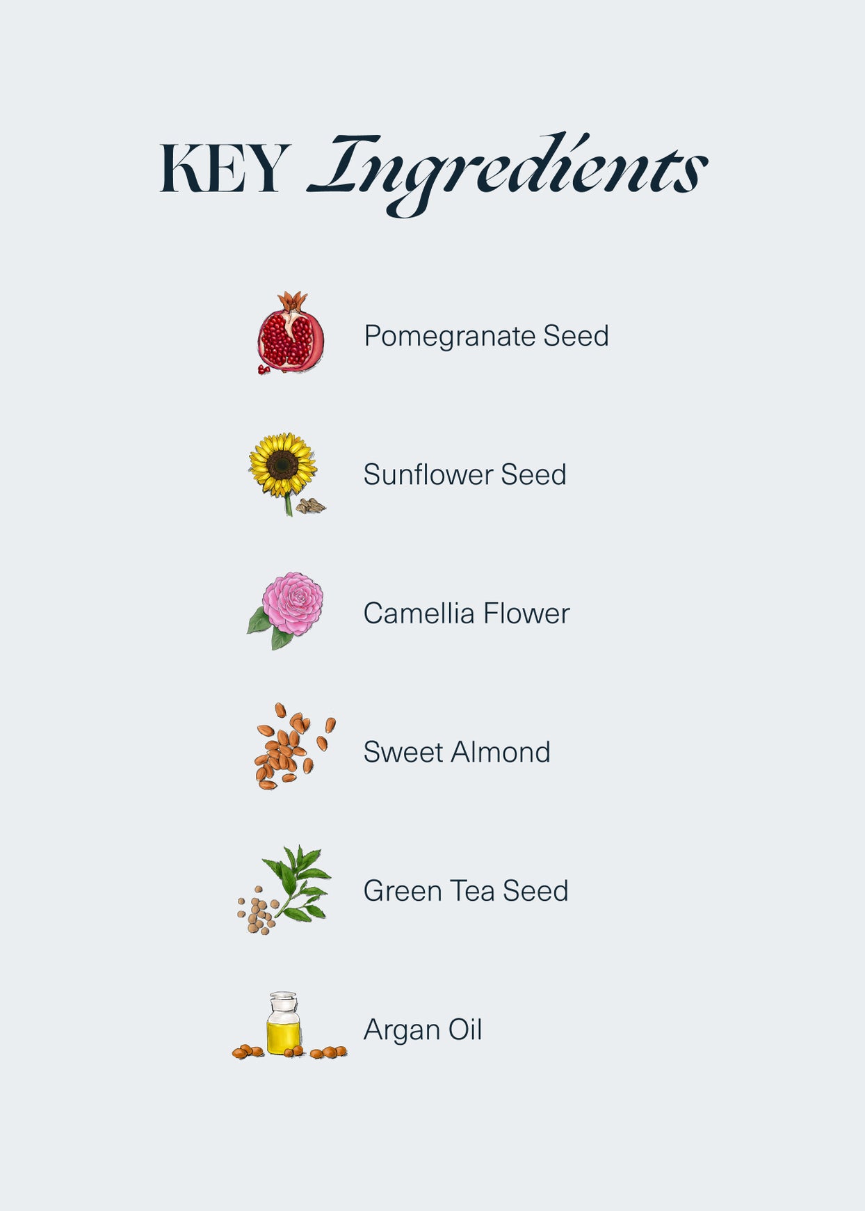 14th Night Hair Elixir As Seen in Vogue